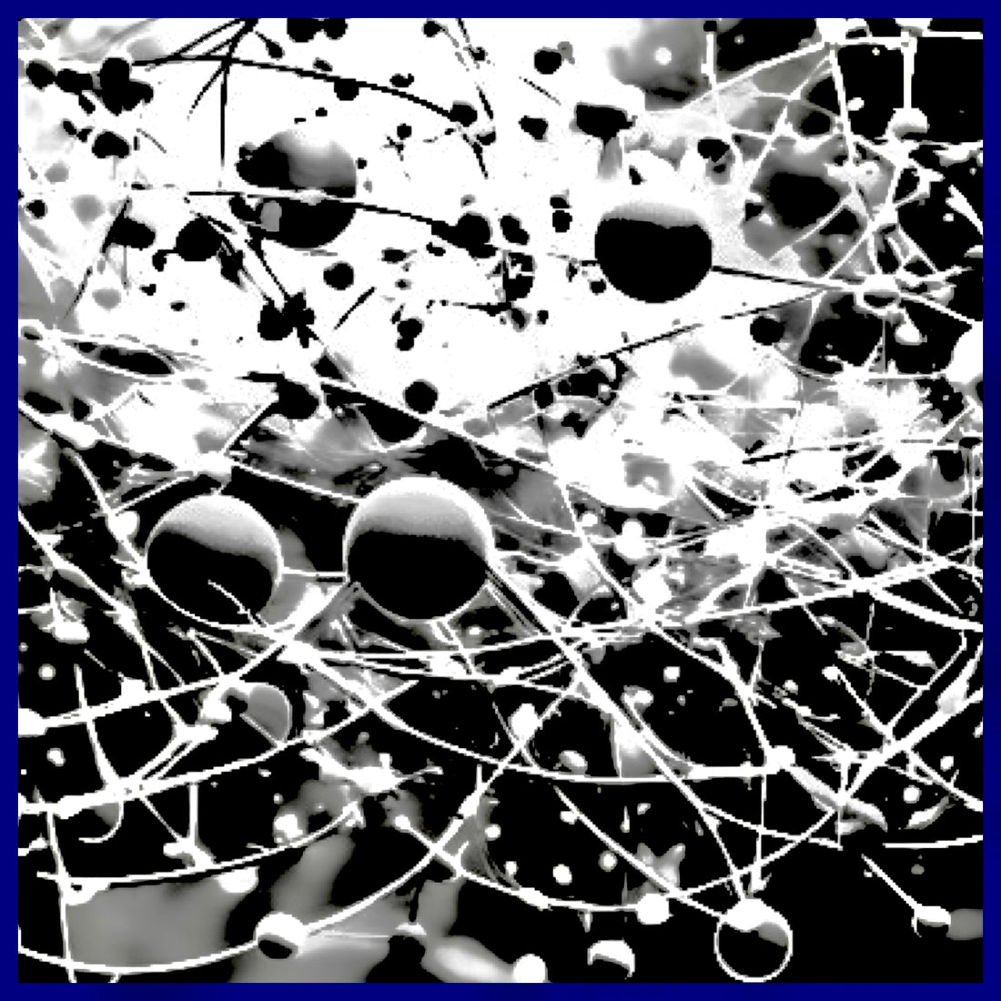 Quantum Biology